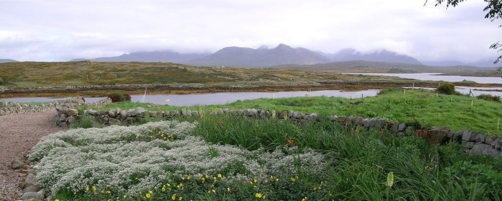 Conception d'un jardin dans le Connemara