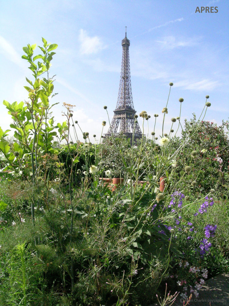 Jardin sur une terrasse parisienne avec vue sur la Tour Eiffel