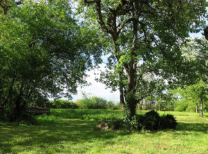 jardin soleil campagne